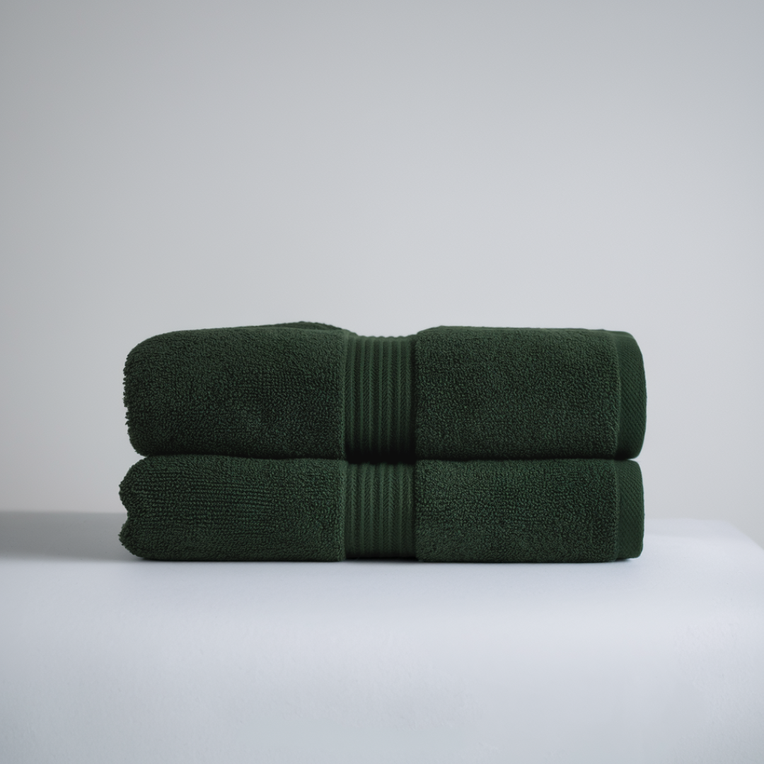 Serviettes à main en coton égyptien ultra-doux, lot de 2 (28 x 16 po)